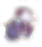 Immagine profilo di polvereepietra